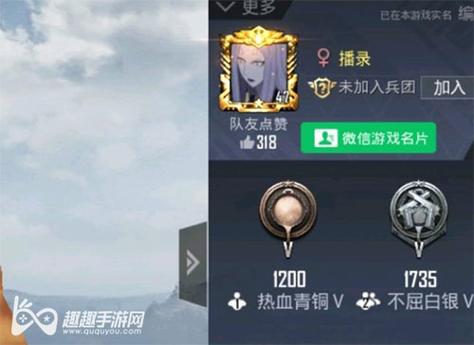 和平精英「毛豆直装」辅助外挂