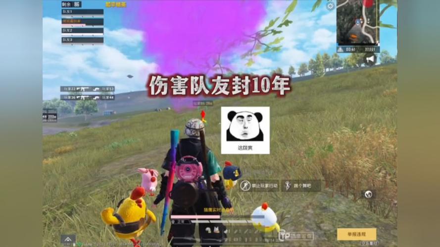 和平精英迪达拉Pro辅助