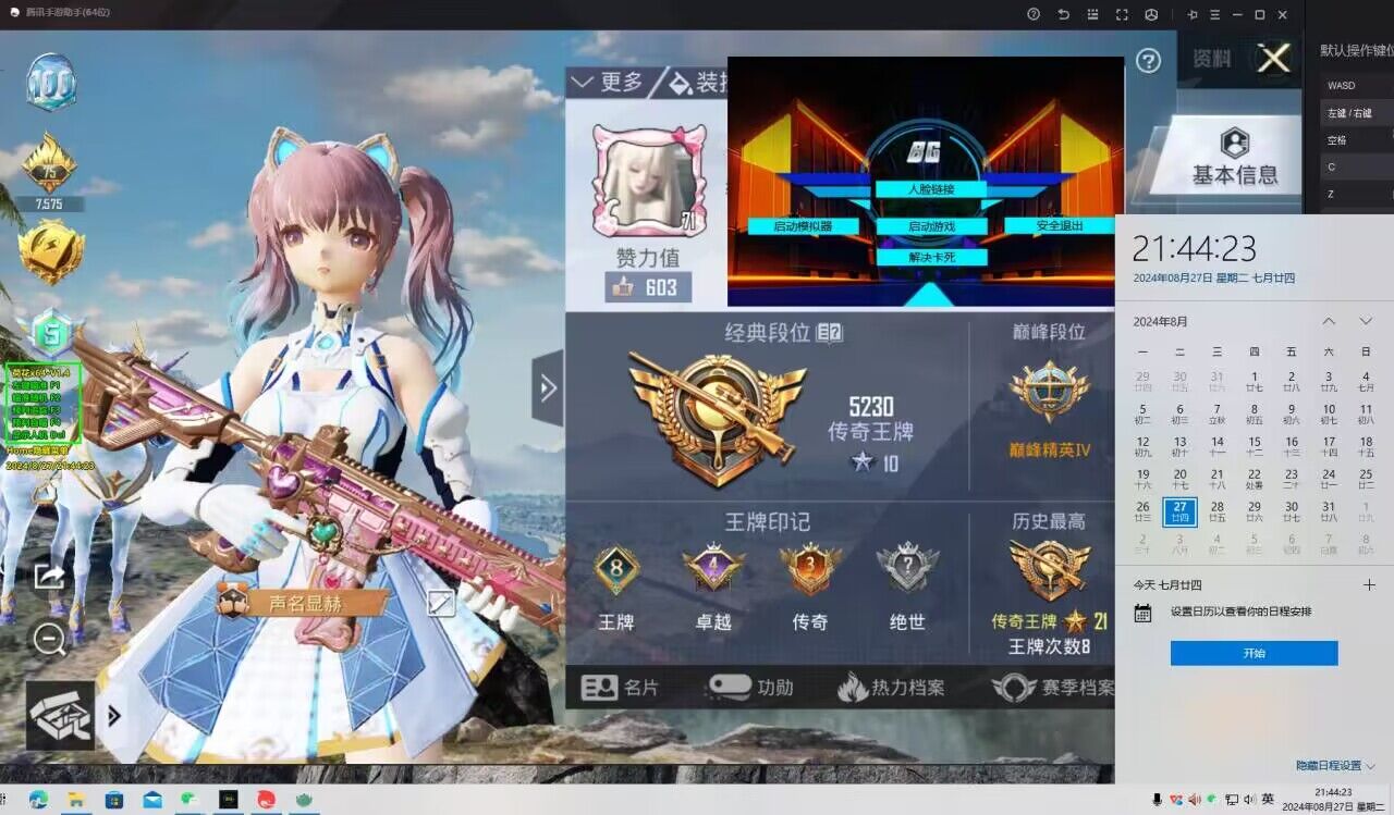 和平精英辅助【星光】